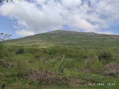 Siljak — fotografia 3