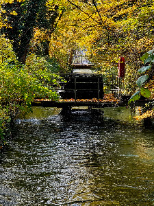 Tiergarten Wels — fotografia 5