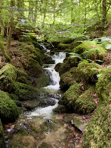 Zweribachwasserfälle — fotografia 4