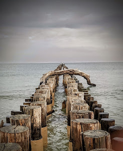 Spiaggia libera di Lido di Dante — fotografia 4