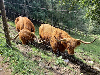 Waldpark Hochreiter Breitenau am Hochlantsch — fotografia 4