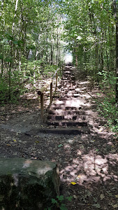 Werwolf-Wanderweg Bedburg