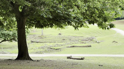 Marselisborg Deer Park — fotografia 3
