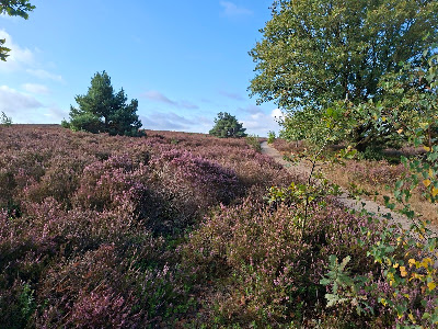 Holterberg