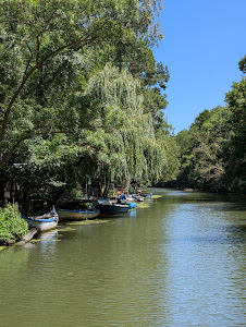 Boat tours of river Kamchia — fotografia 3