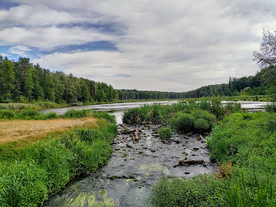 Nature trail "Bobrówka" — fotografia 5