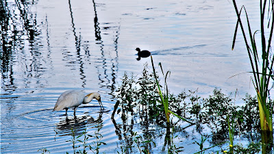 Laguna de Fuente del Rey — fotografia 5