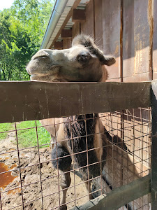 Private Zoo Sedlec — fotografia 5