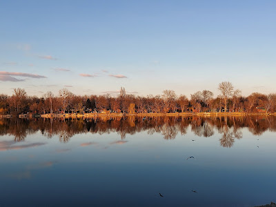 Drava forest — fotografia 3