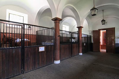 Cifra Istálló és Kocsimúzeum — fotografia 5