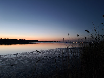 Zippendorfer Strand — fotografia 4
