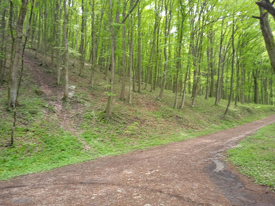 Cuha-völgyi pihenőpark és erdei tanösvény — fotografia 4