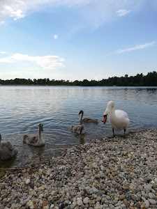 Aquacity Varaždin — fotografia 4