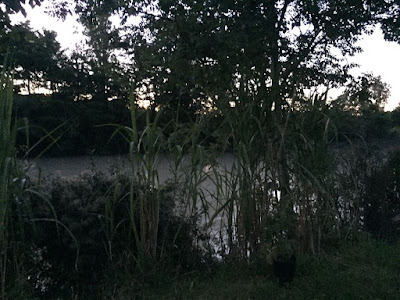 Camping at the river — fotografia 4