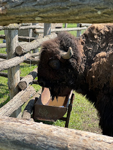 Zoo Előszállás- Egzotikus Állatpark Előszállás — fotografia 5