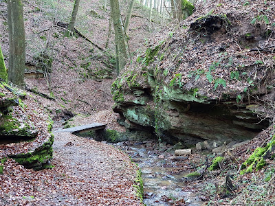 Seltenbachschlucht — fotografia 4