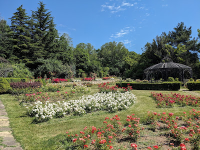 University Botanical Garden Ecopark Varna — fotografia 4