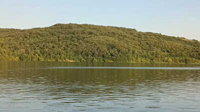 яз. Пчелина — fotografia 2