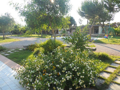 Oasi del Camperista — fotografia 5
