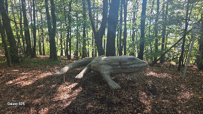 Aussichtswarte Demmerkogel — fotografia 5