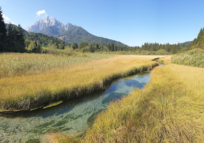 Zelenci — fotografia 4
