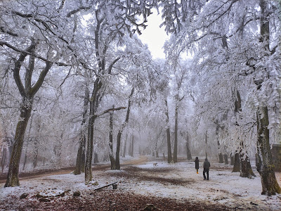 Dobogó-kő — fotografia 3