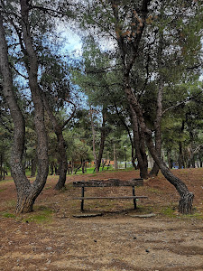 Kaisariani Shooting Range Park — fotografia 5