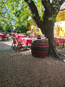 St. Ilona Camping und Restaurant — fotografia 3