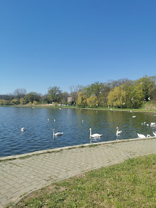 Lacul Neptun I