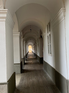 Catedrala Romano-Catolică — fotografia 5