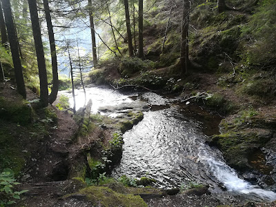 Cascata di Tret — fotografia 4