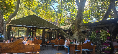 Kafana Kod Laze — fotografia 3