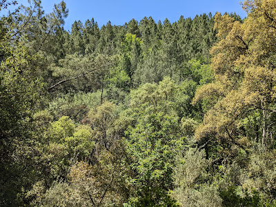 Sendero Galaroza - Castaño del Robledo (Ribera de Jabugo) — fotografia 3