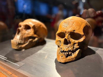 Pavlov Archaeological Park — fotografia 5