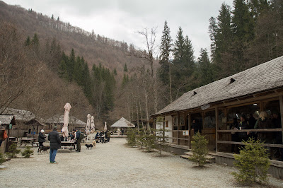 Staţia Paltin CFF Mocăniță — fotografia 5