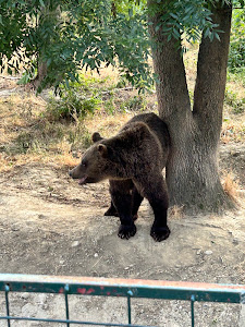 Grădina Zoologică Bucov (Ploiești) — fotografia 5