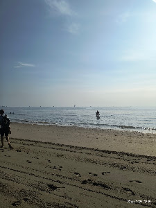 Spiaggia libera — fotografia 3