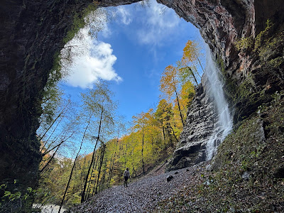 Zeleni Vir, water spring — fotografia 5