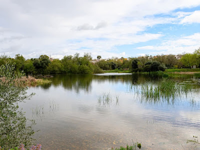Laguna de Fuente del Rey — fotografia 3