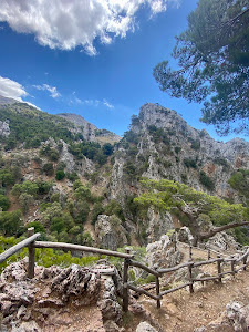 Platania gorge