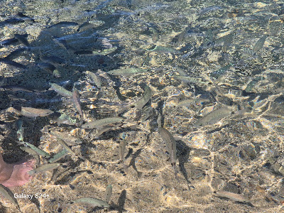 Spaggia di Santo Stefano — fotografia 5