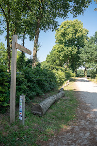 Camping Zuid Ginkel — fotografia 3