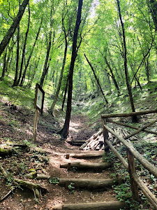 Naturalistic Area Frassineto — fotografia 3