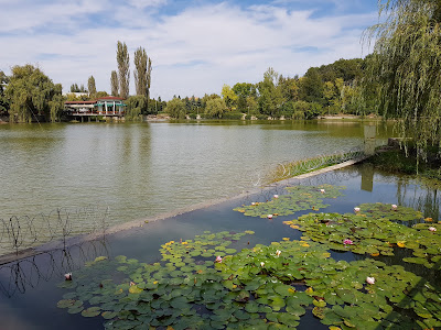 Regional history museum Targovishte — fotografia 3