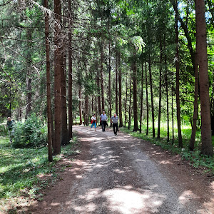Parcul dendrologic Dofteana, județul Bacău — fotografia 3