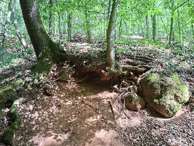 Gerence-völgyi Autóspihenő — fotografia 3