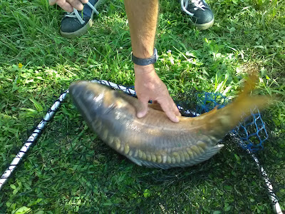 Pesca Sportiva Laghetto ulivi Di Fontana Gabriele — fotografia 3