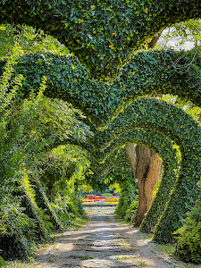 Grădina Botanică "Alexandru Buia" — fotografia 5