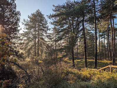 Nationaal Park Zuid-Kennemerland — fotografia 5