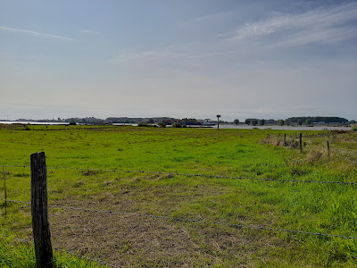 Picknickplaats Waalbanddijk — fotografia 5